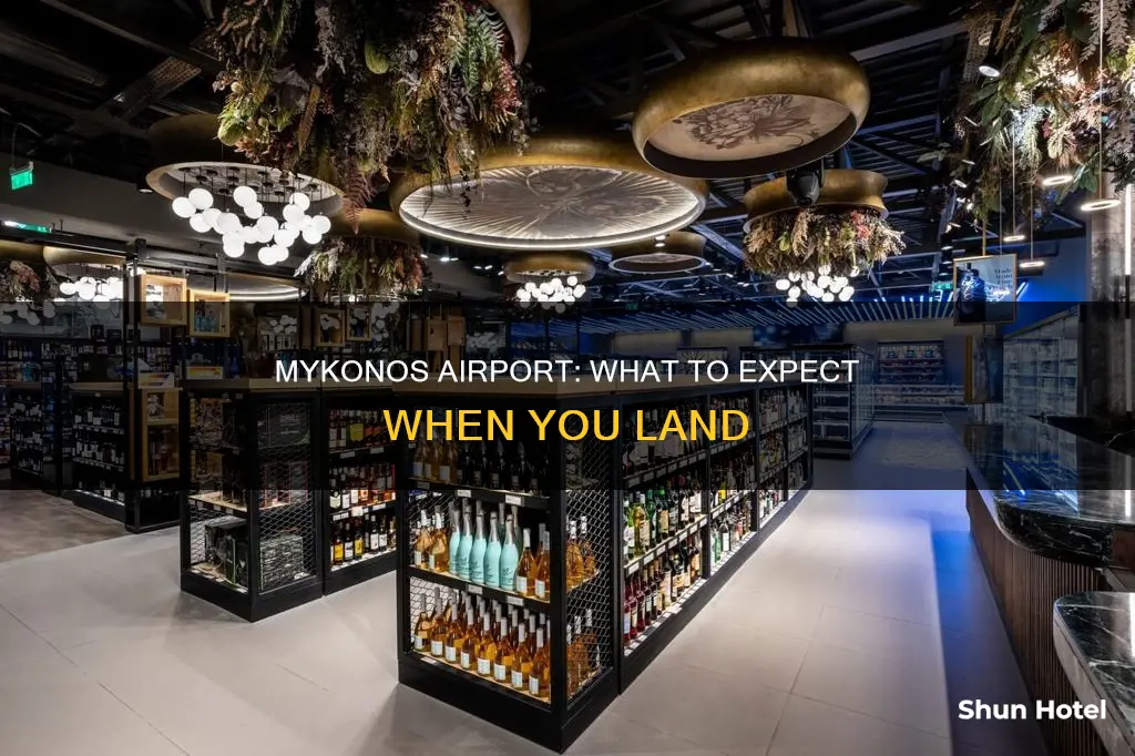 what is there at mykonos airport