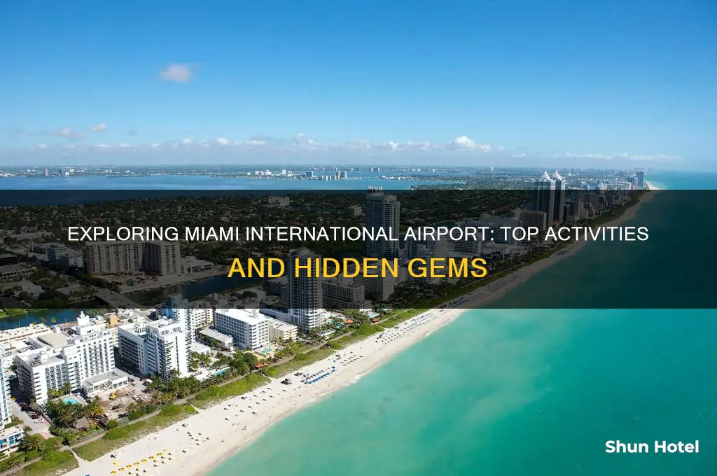 what is there to do at miami international airport