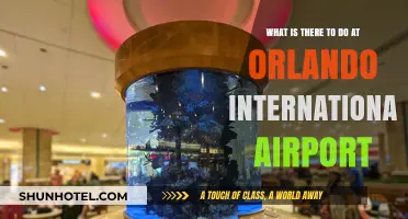 Exploring Orlando International Airport: Top Activities and Hidden Gems