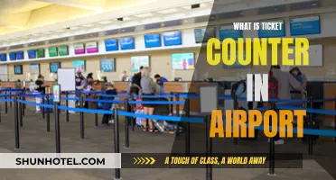 Navigating Airport Ticket Counters: A Guide
