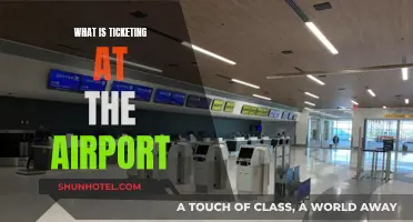 Airline Ticketing: A Guide to Airport Check-Ins