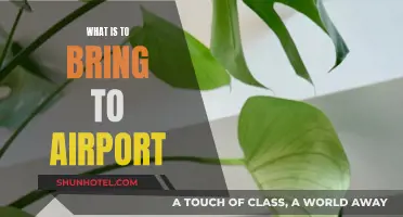 Essentials to Pack for Your Airport Trip