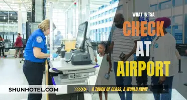 TSA Checks: What to Expect at Airport Security