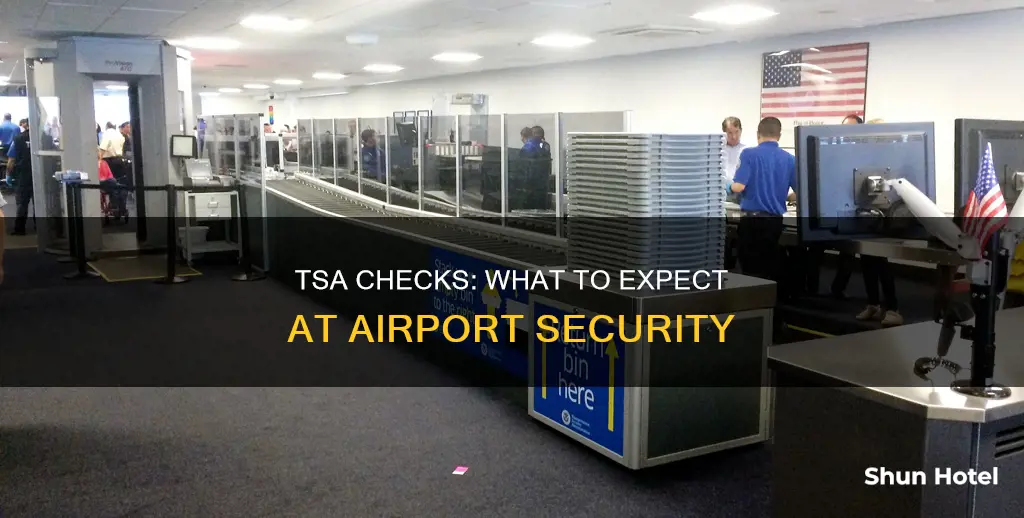 what is tsa check at airport