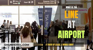 TSA Airport Lines: What You Need to Know