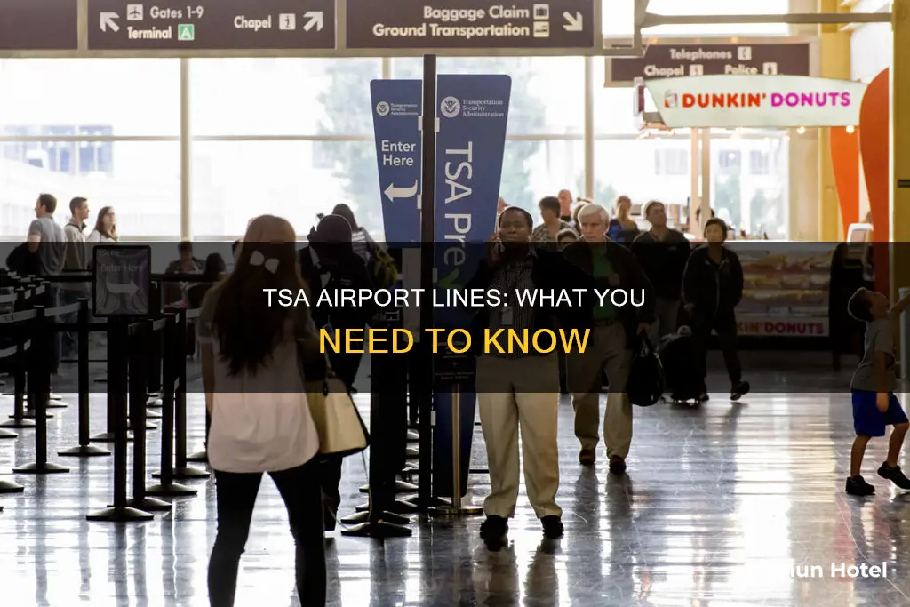 what is tsa line at airport