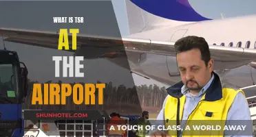 Understanding Airport Lingo: What is a TSR?