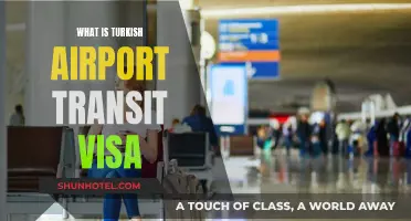 Transit Visa Requirements for Turkish Airports