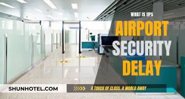 Airport Delays: UPS Security Measures Explained