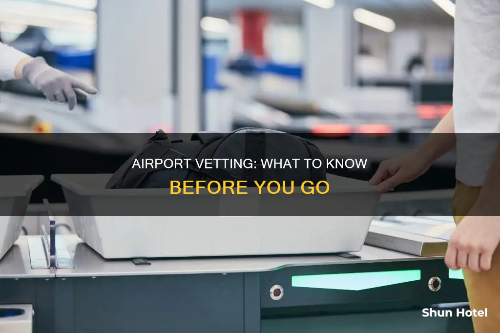 what is vetting at us airports