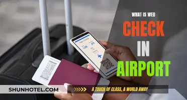 Web Check-in: A Faster Way to Board Your Flight