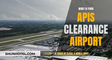 Airports and API: What's the Connection?