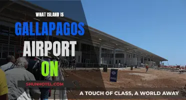 Exploring the Galápagos: Airport Island Adventure