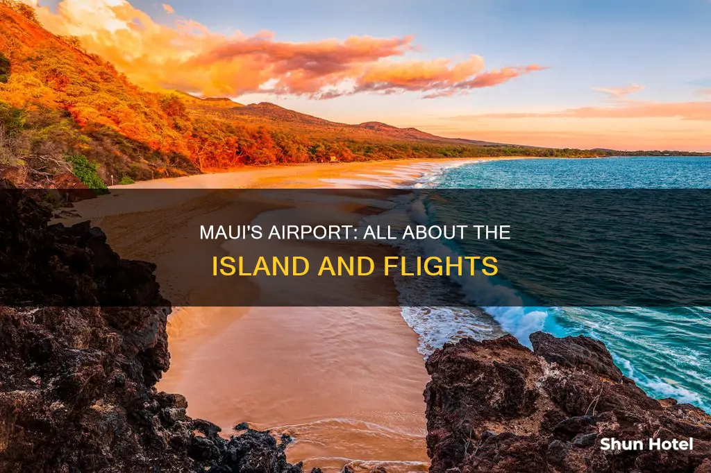 what island is ogg airport on