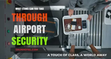 Essential Items Allowed Through Airport Security