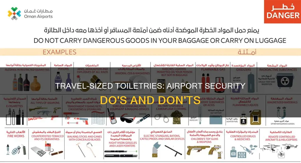 what items can you take thru airport security shapoo
