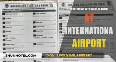 Essential Items to Declare at International Airports: A Traveler's Guide
