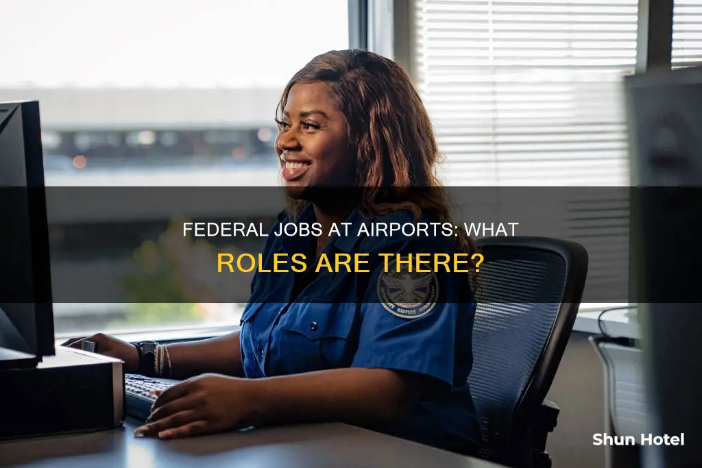 what jobs are federal at airports