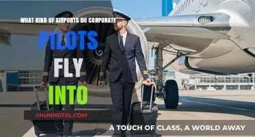 Corporate Pilots' Airport Destinations: From Private Strips to Major Hubs