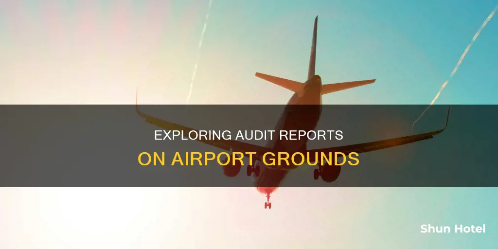 what kind of audit reports can be on airport grounds