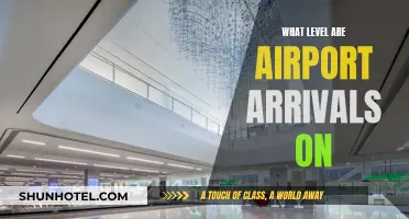 Airports: Arrivals Level and Its Importance