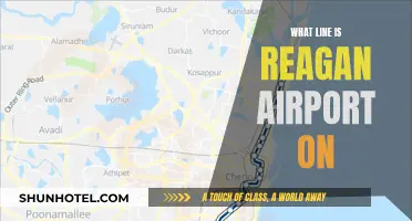 Reagan Airport's Line: Which Metro Line to Take