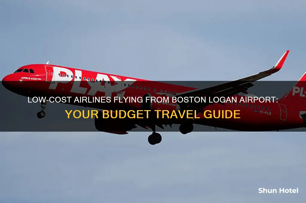 what liw cist airlines fly out of boston logan airport