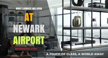 Newark Airport Lounges: Open Spaces for Relaxation and Comfort