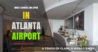Atlanta Airport Lounges: A Guide to Open Relaxation Spots