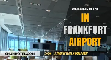 Frankfurt Airport Lounges: Open Spaces for Relaxation and Refreshment