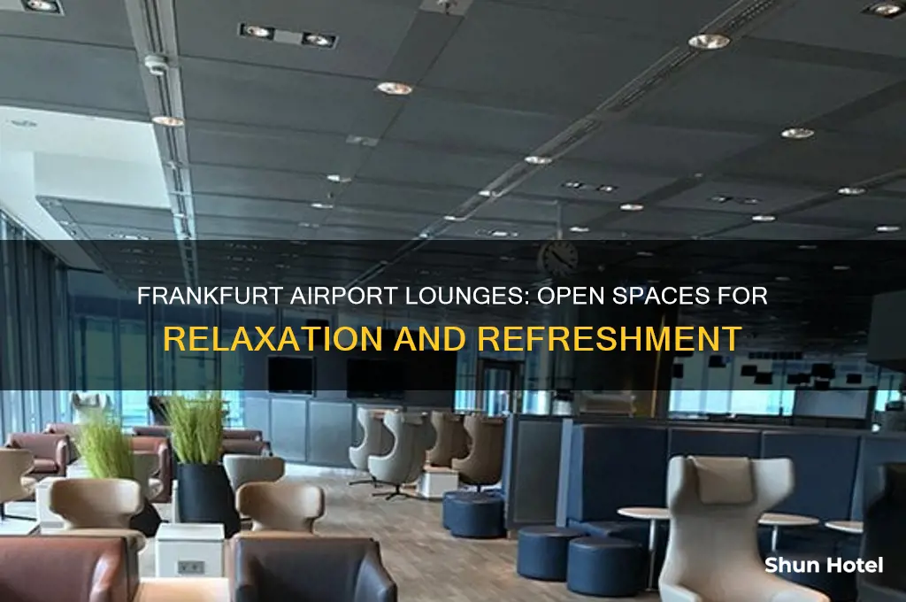 what lounges are open in frankfurt airport