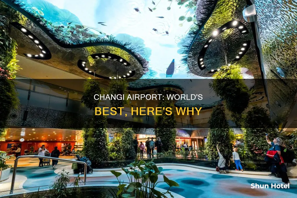 what makes changi airport the best