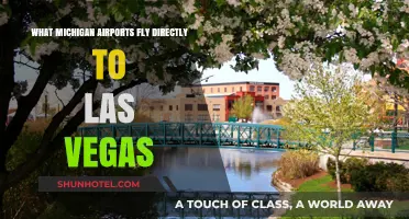 Direct Flights from Michigan to Las Vegas: Your Airport Guide