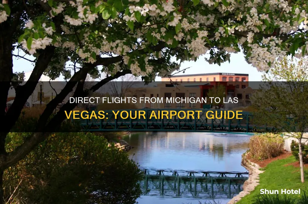 what michigan airports fly directly to las vegas