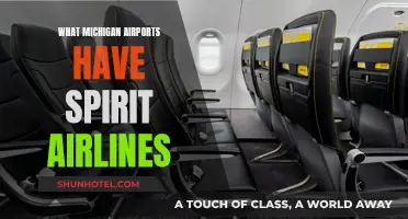 Spirit Airlines: Michigan Airport Destinations