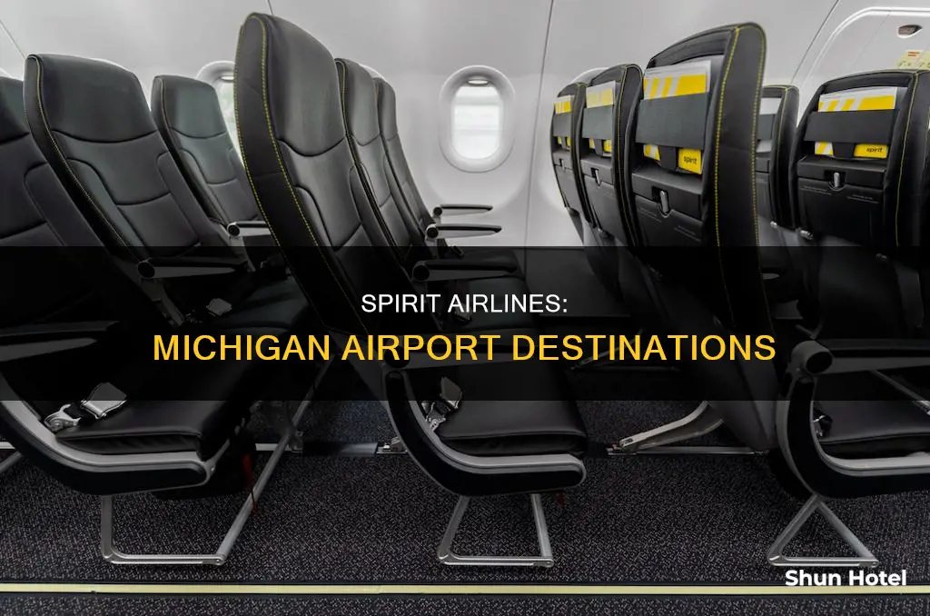 what michigan airports have spirit airlines