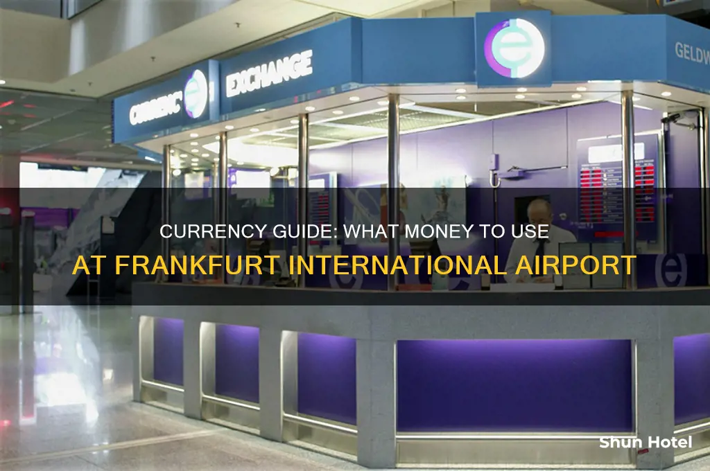 what money is used at frankfurt international airport