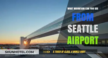 Mountain View from Seattle Airport: A Scenic Surprise