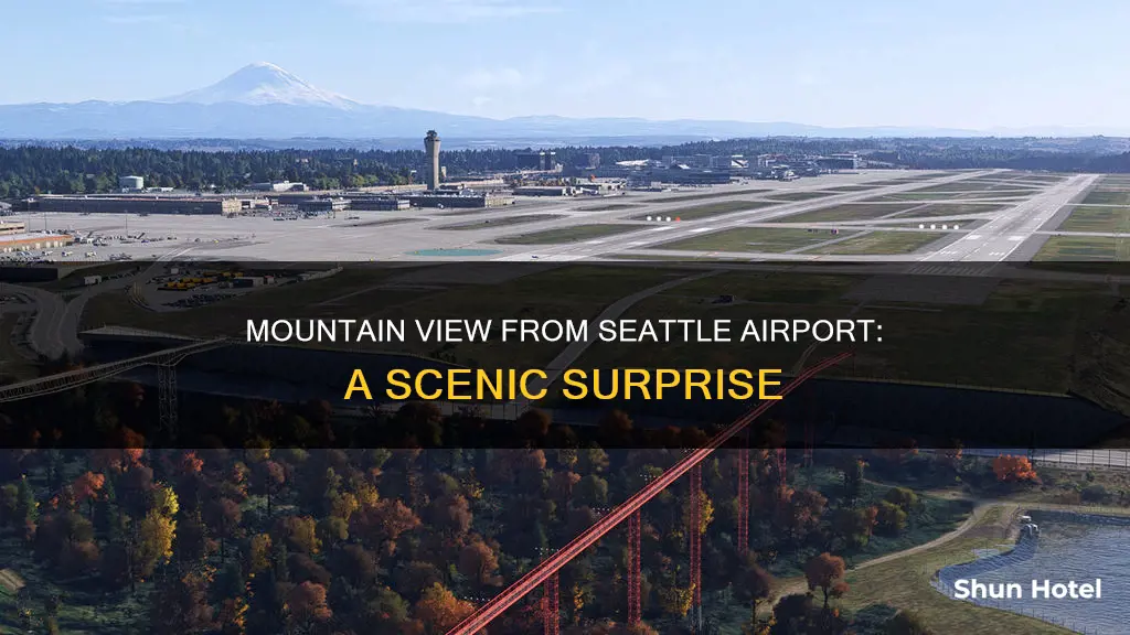 what mountain can you see from seattle airport