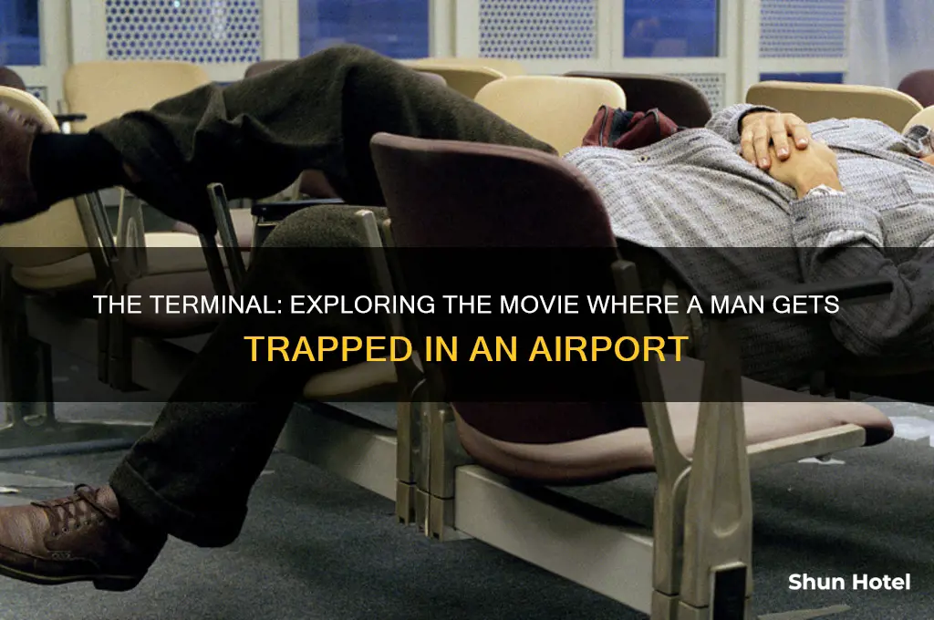 what movie did the guy get trapped in the airport