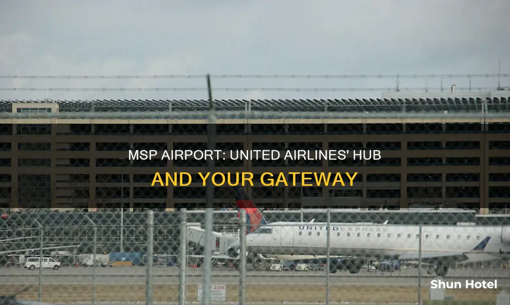 what msp airport united air lines