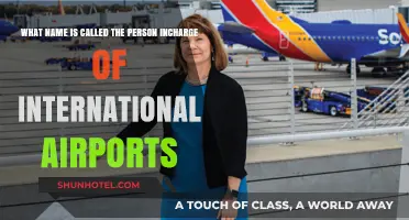Who Oversees Global Hubs? The Role of International Airport Directors