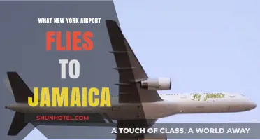 Which New York Airport Offers Direct Flights to Jamaica?