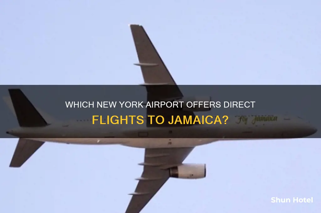 what new york airport flies to jamaica