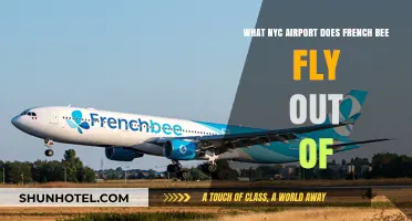 French Bee's NYC Airport: Your Guide to Departure Terminals