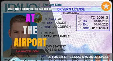 Alternative IDs: What Can You Use at the Airport?