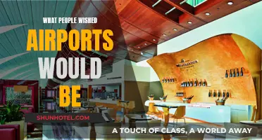 Airports of the Future: What Could Be?