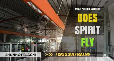 Spirit Airlines Phoenix Airport Guide: Which Terminal and Flights to Expect