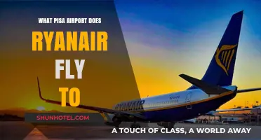 Ryanair Destinations from Pisa Airport: A Comprehensive Guide to Routes