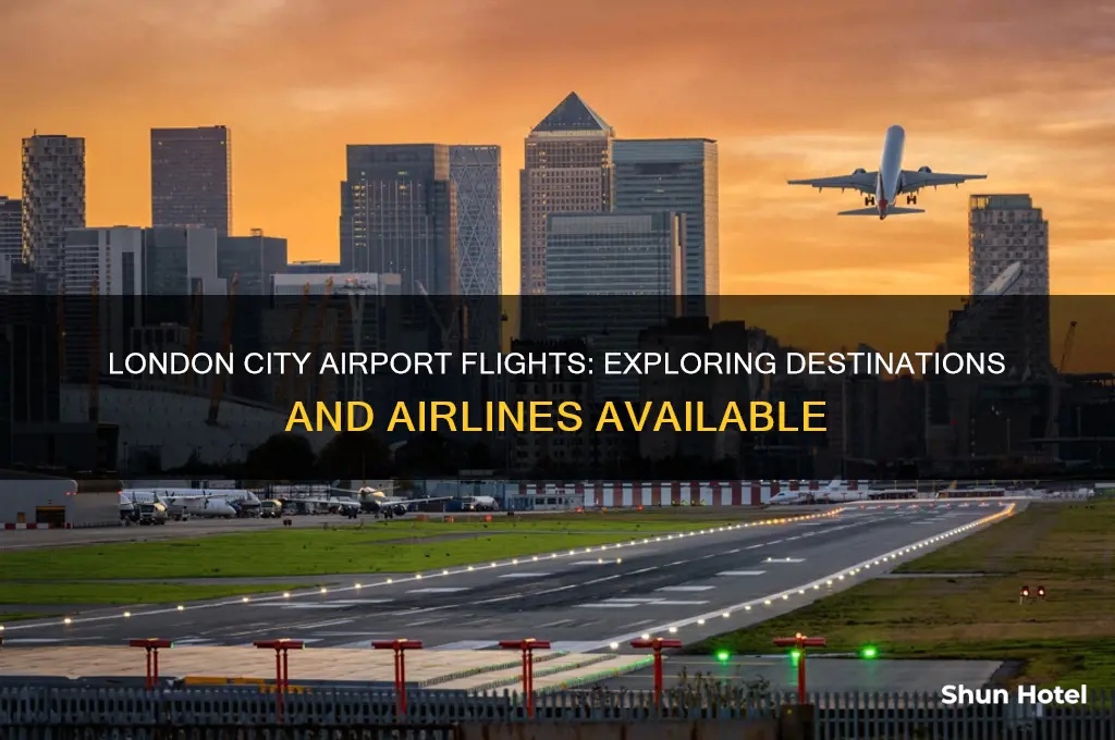 what planes fly from london city airport